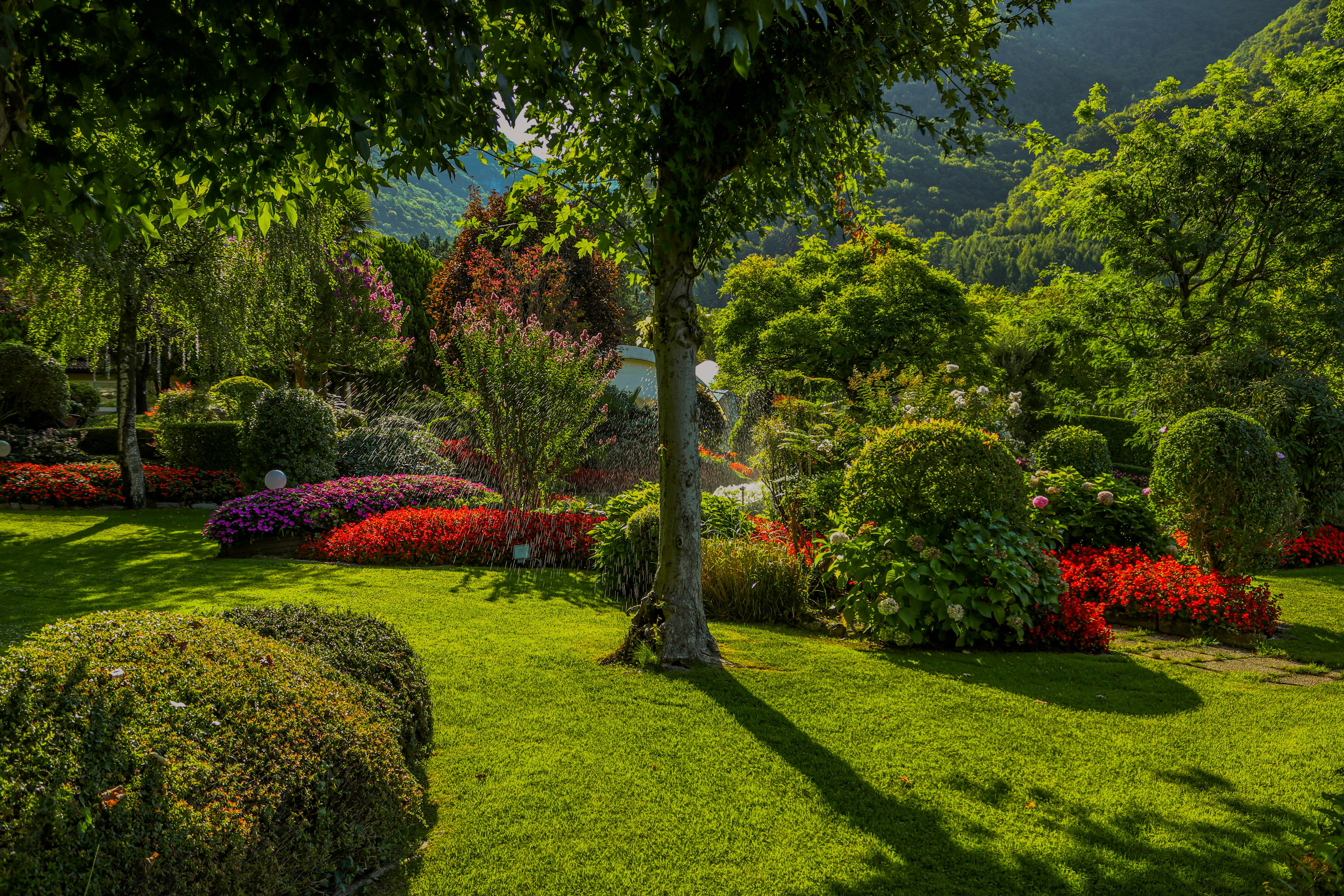 Professional landscaping services in Waterloo Region